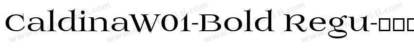 CaldinaW01-Bold Regu字体转换